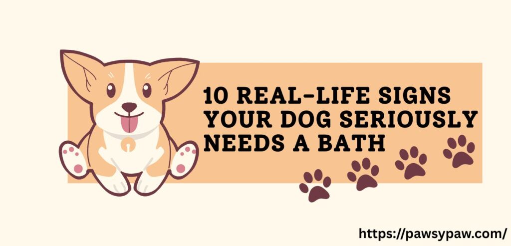 dog bathing signs