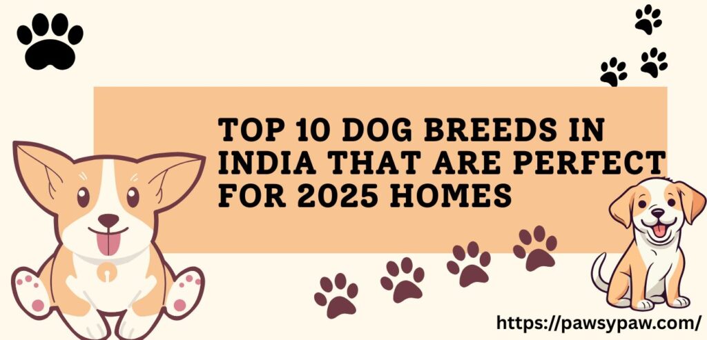 best dog breeds in India 2025