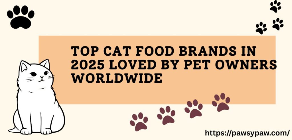 Best cat food brands 2025