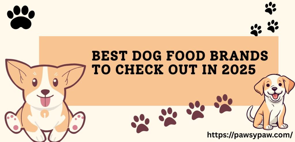 Best Dog Food